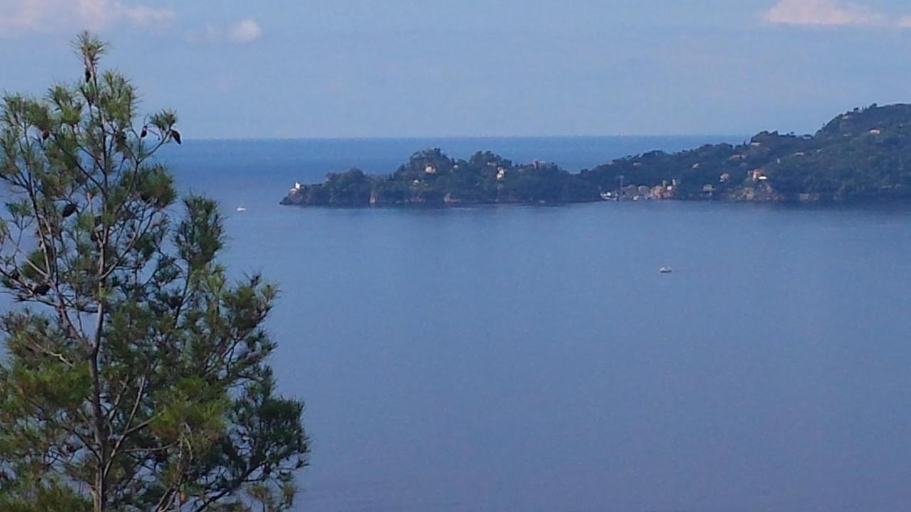 Vicino A Portofino E Alle Cinque Terre - Near Portofino And Cinque Terre 쪼알리 외부 사진