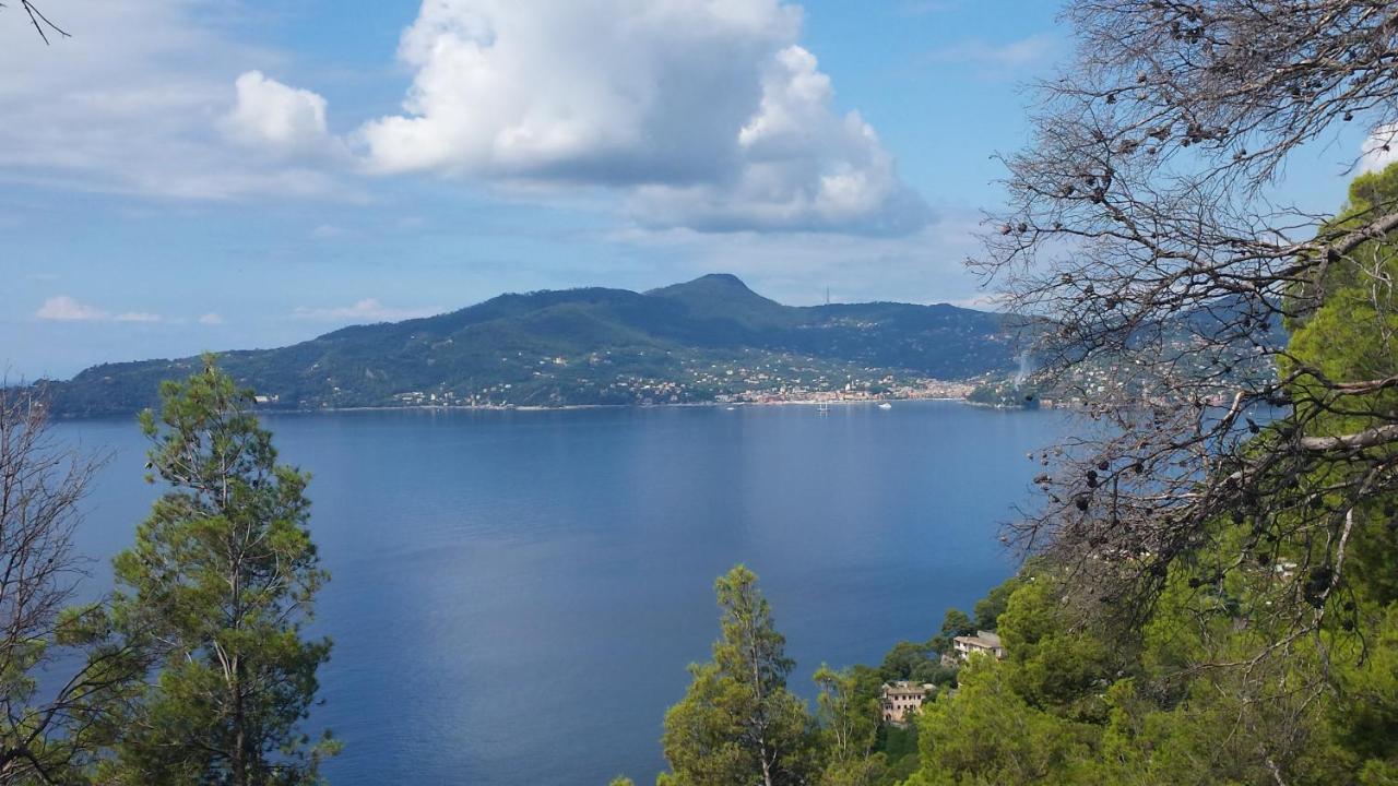 Vicino A Portofino E Alle Cinque Terre - Near Portofino And Cinque Terre 쪼알리 외부 사진