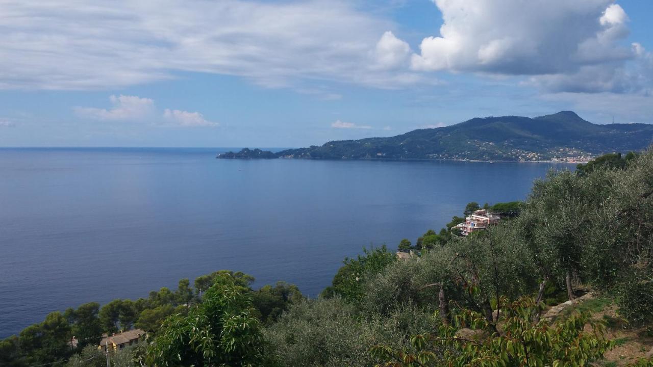 Vicino A Portofino E Alle Cinque Terre - Near Portofino And Cinque Terre 쪼알리 외부 사진